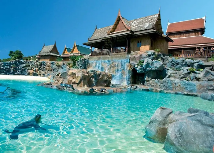 Wdb4 Windsor Danka 阿德耶